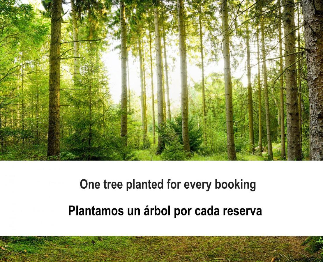 Deluxe Villa,1352579257:JPEG