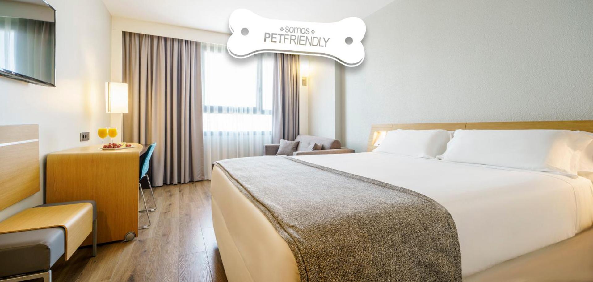 Double Room Pet Friendly,1257250663:JPEG