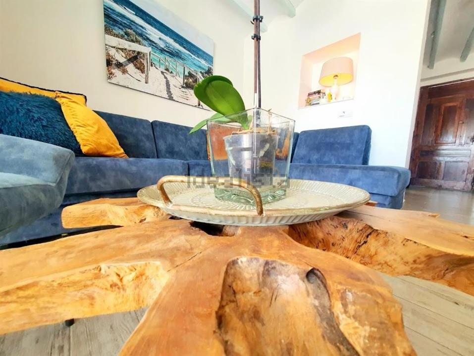 One-Bedroom House Terrace,1499871943:JPEG