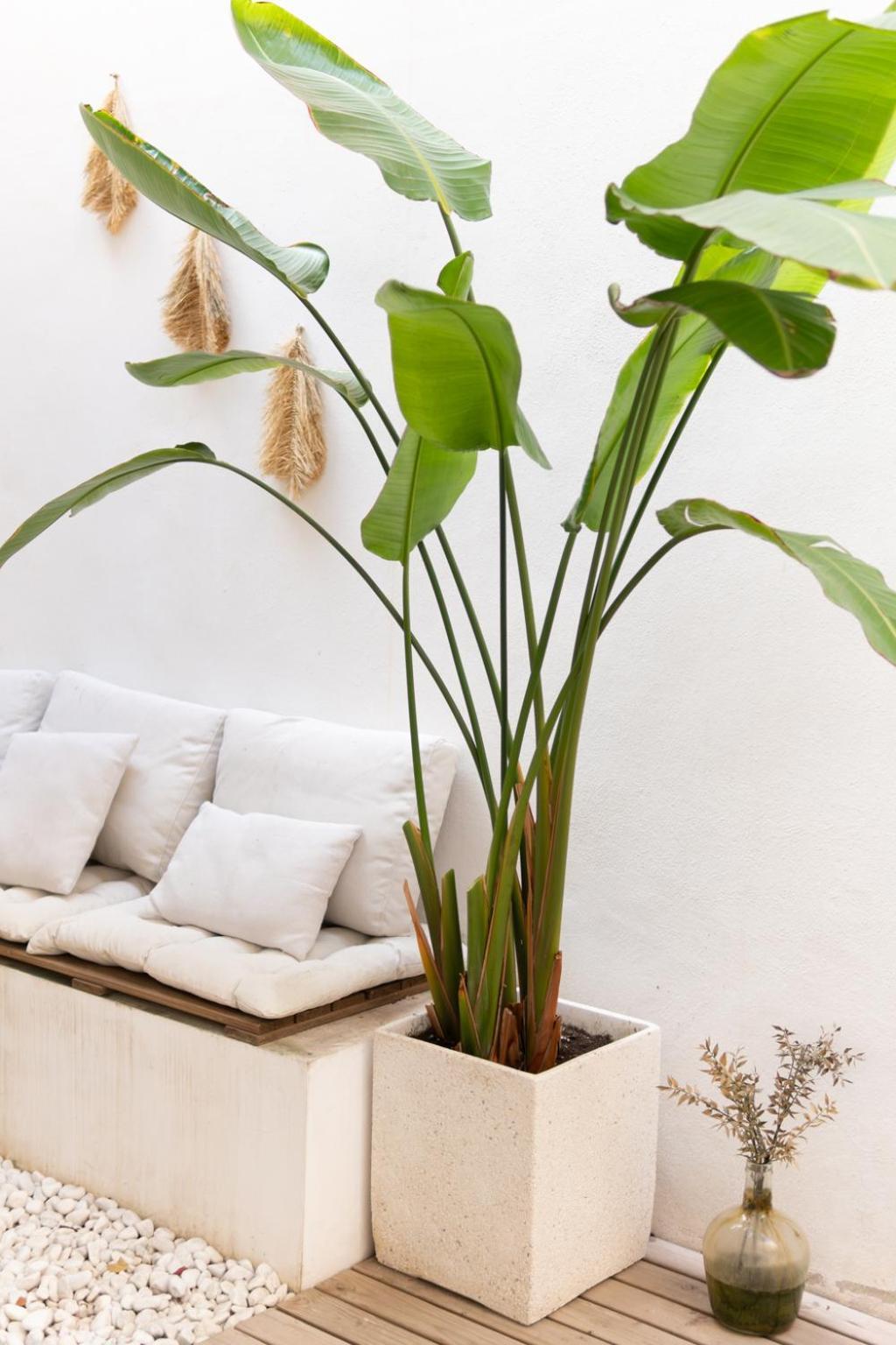 Appartamento con 4 Camere da Letto