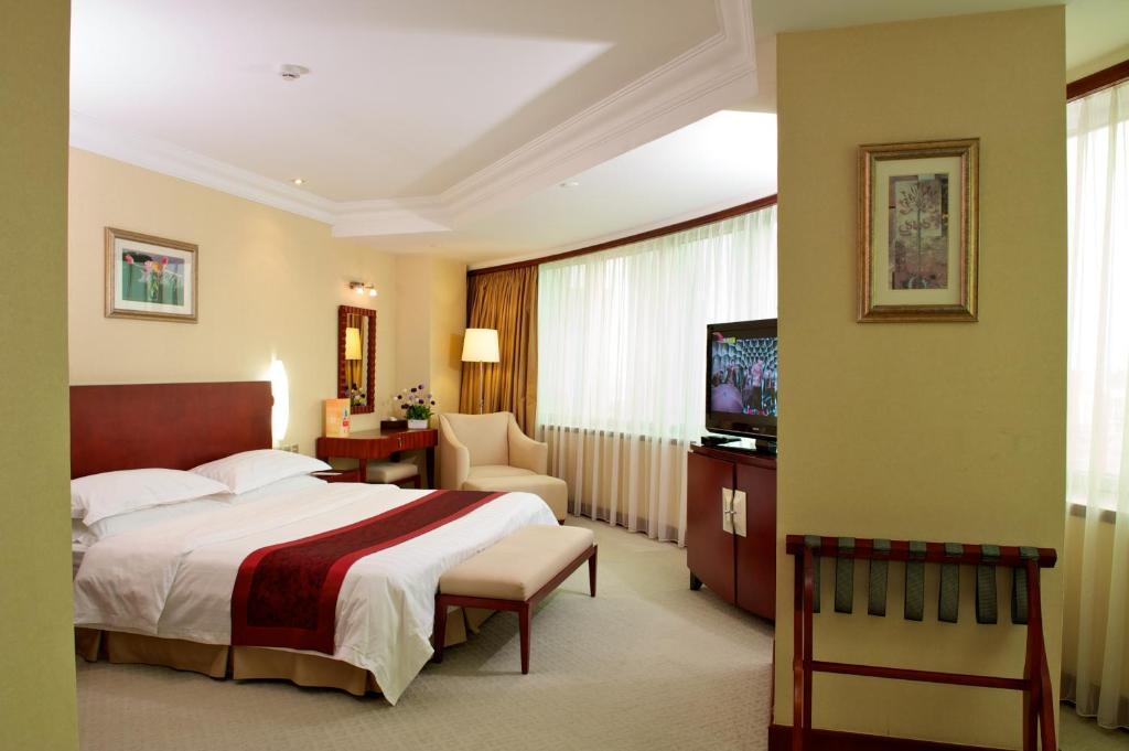 Quadruple Room,53729152:JPEG