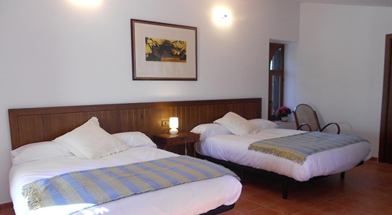 Suite Terrace,646779417:JPEG