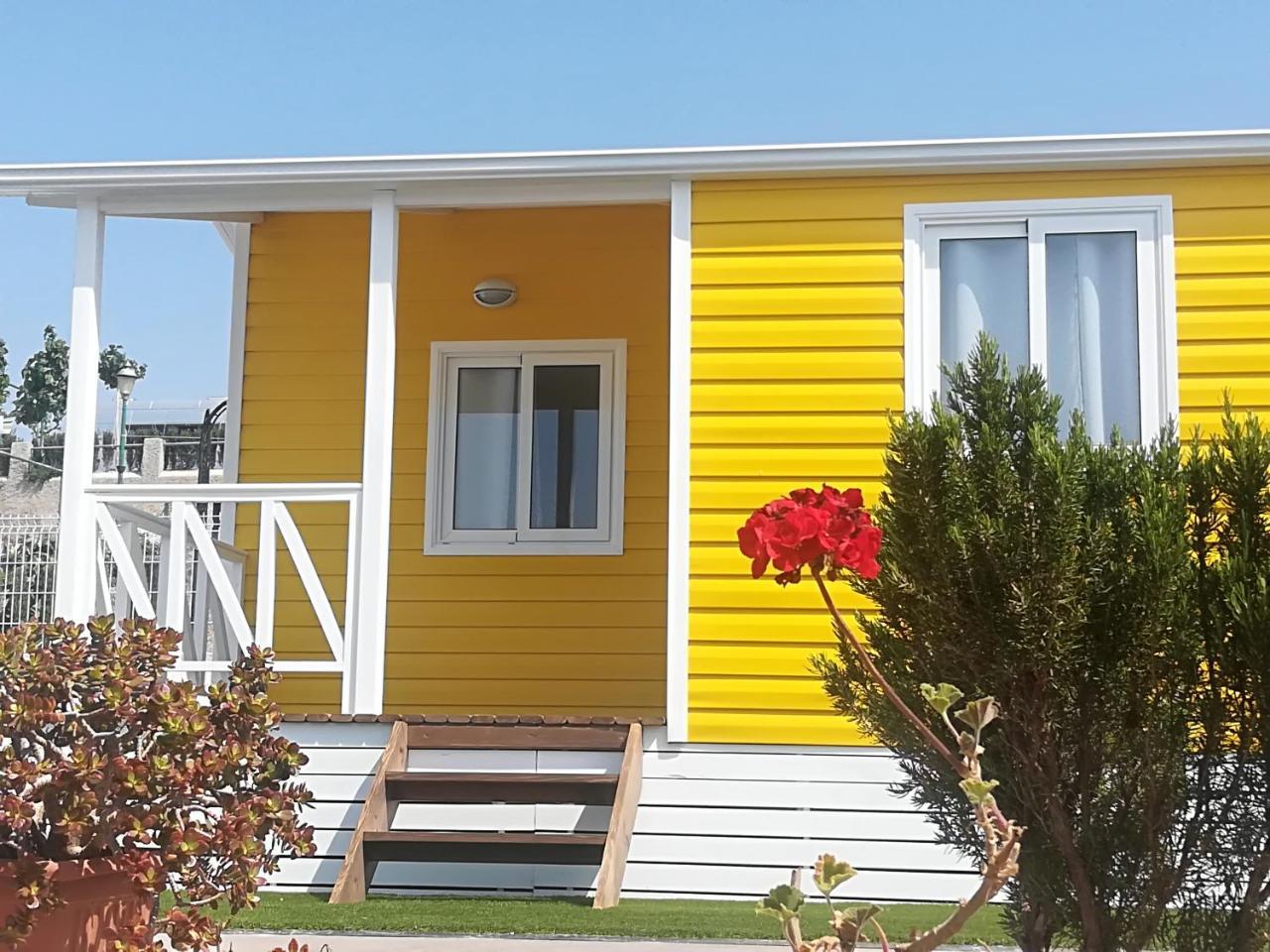 Mobile Home,740670280:JPEG