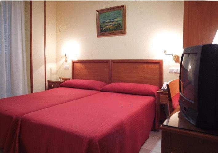 Double or Twin Room,9155952:JPEG