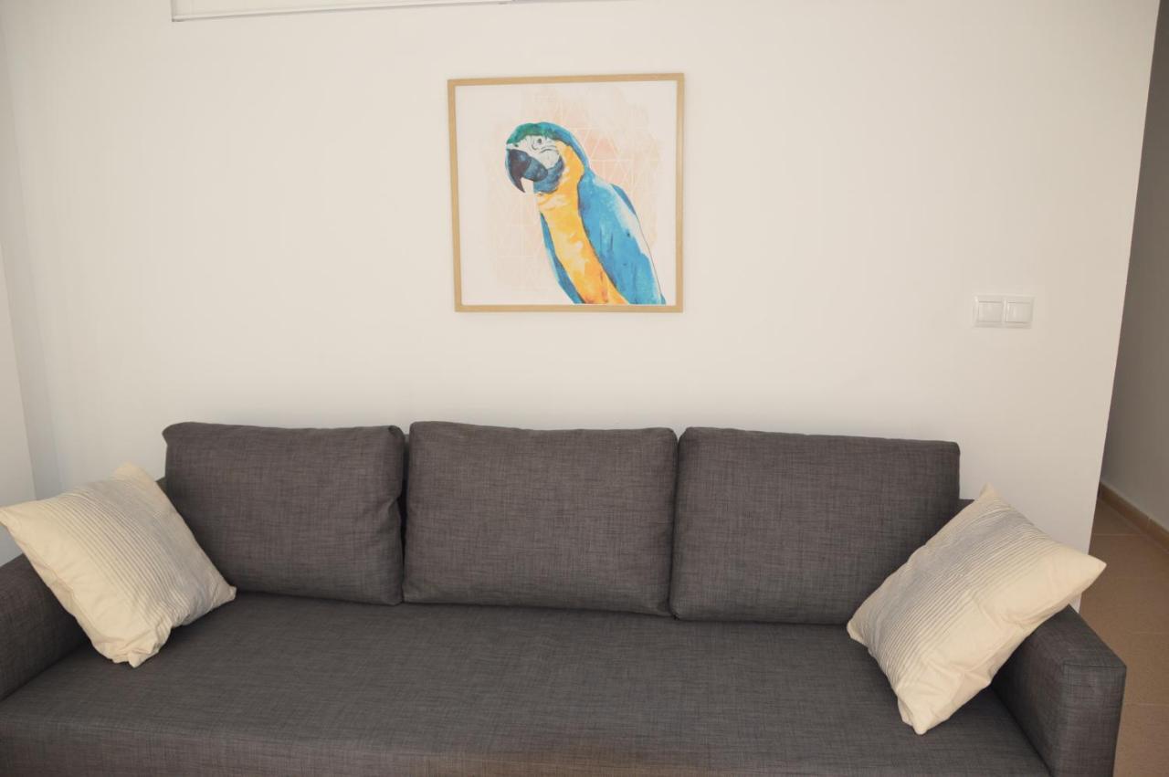 One-Bedroom Apartment,935827342:JPEG