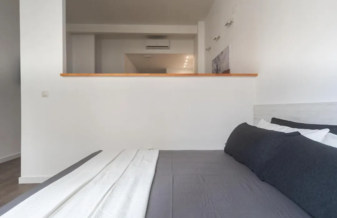 Exclusivos Lofts En Plaza Del Ayuntamiento-1