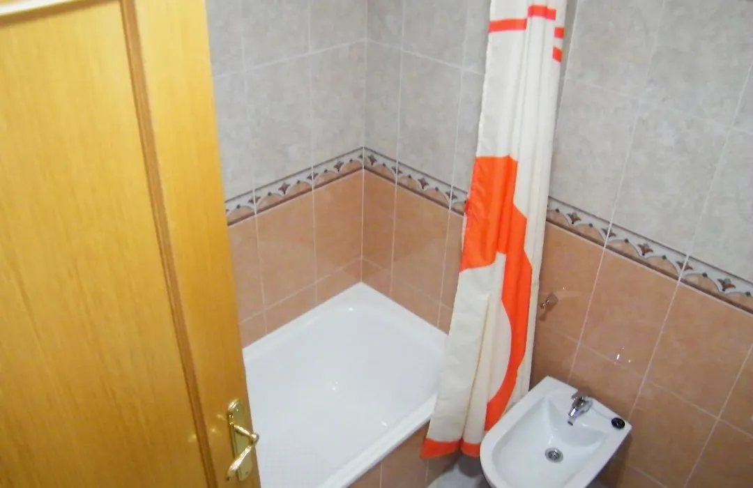 Apartamentos Milenio-1