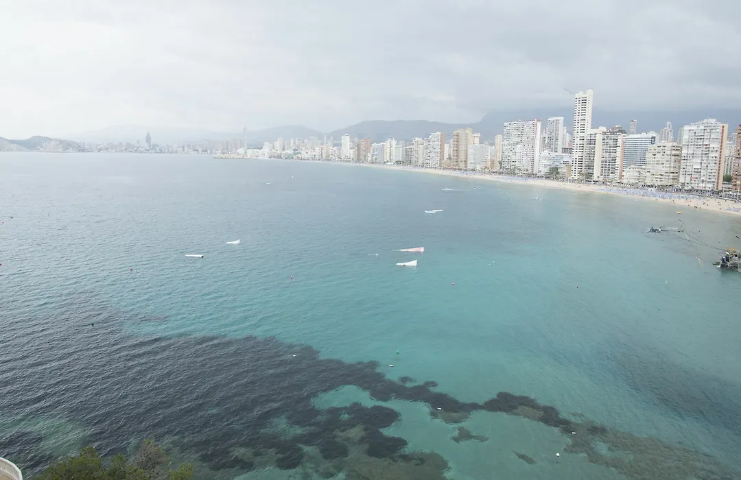 Paraiso Lido Alquilevante-1