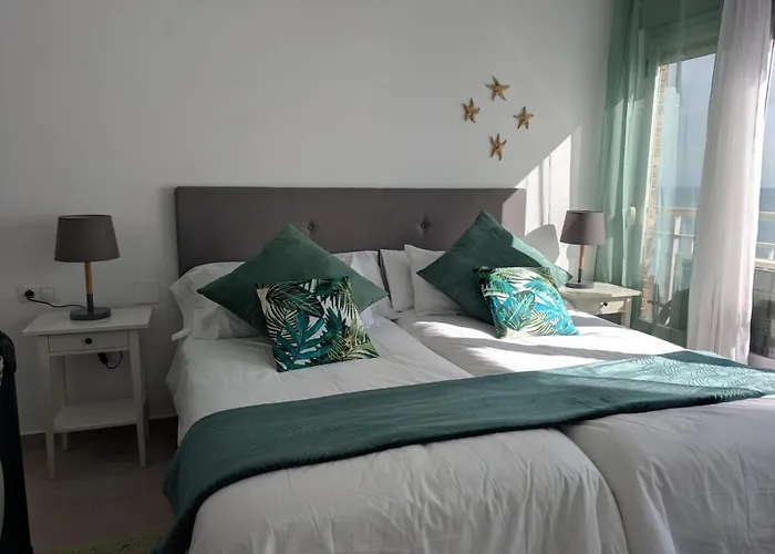 Apartamento Con Vistas Al Mar Primera Linea De Playa Del Postiguet Alicante che accetta animali