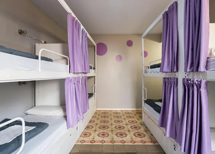 Huisdiervriedelijke Purple Nest Hostel Valencia