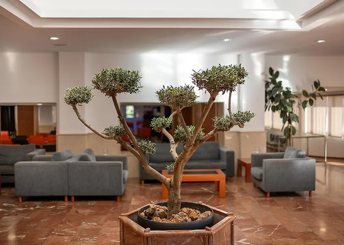 Torrevieja hotels near Fun Fair