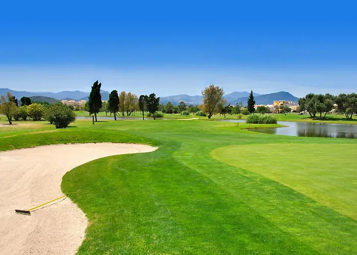 Hotels in Oliva