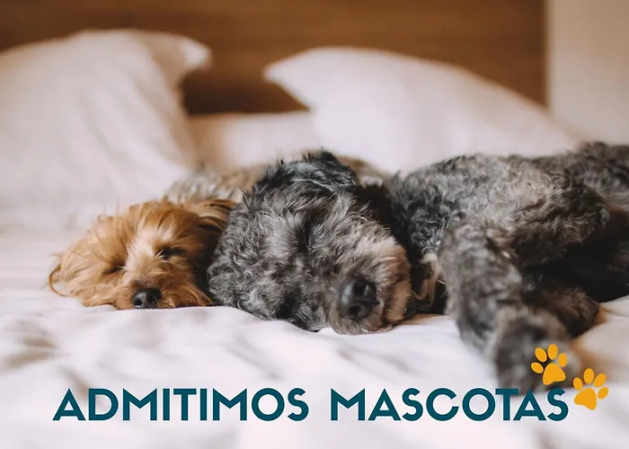Boutique Apartamentos Riviera 3000 Benicàssim