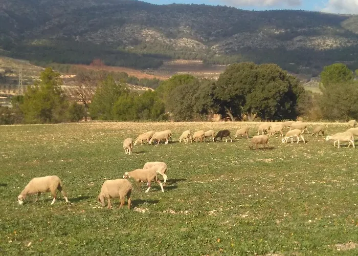 Casa Rural Masia Barbera Ibi