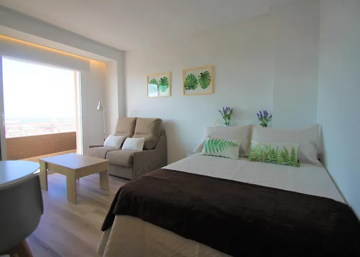 Casaturis Estudio Con Vistas Que Enamoran En Centro De Alicante A119