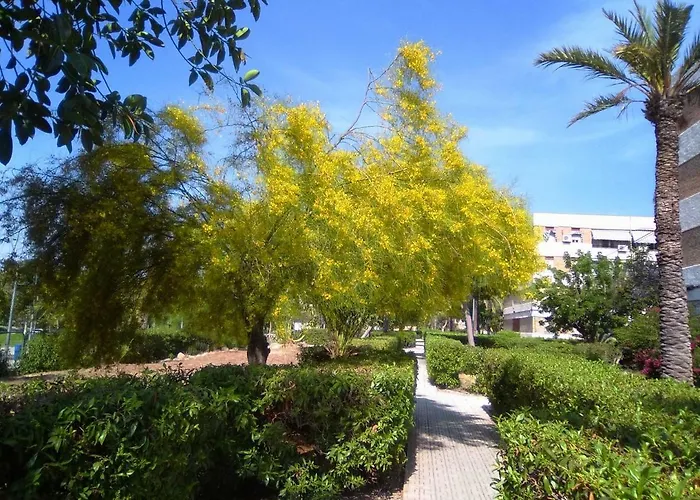Apartamento Jardines Via Parque Alicante