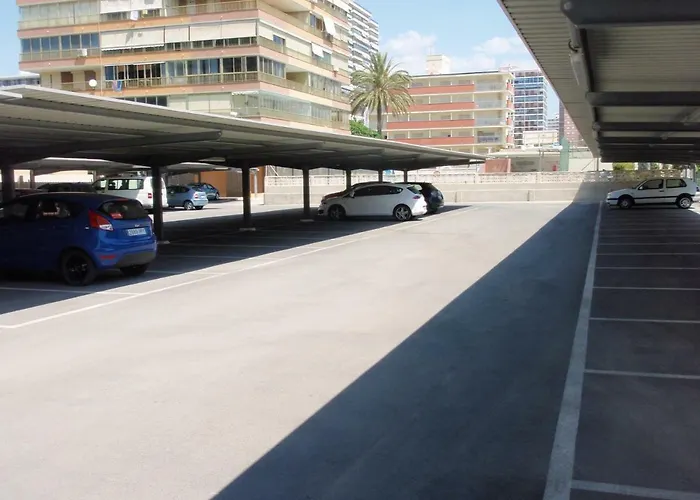 Appartamento Tortuga Flat Alicante che accetta animali