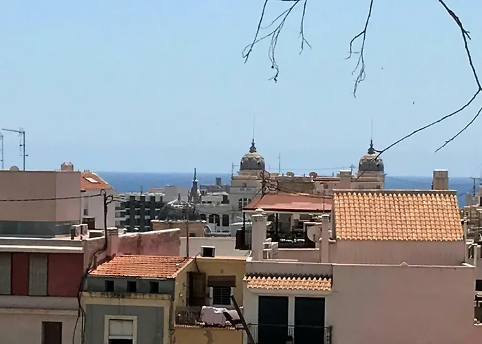 Centro-Rambla Alicante che accetta animali