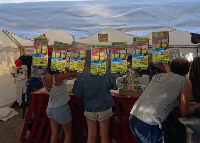 Boutique Valencia Festival Camping