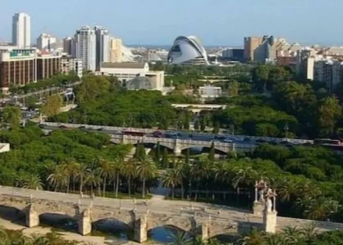 Loft En La Ciudad De Las Ciencias Y Cerca De La Playa Valência que aceita animais de estimação