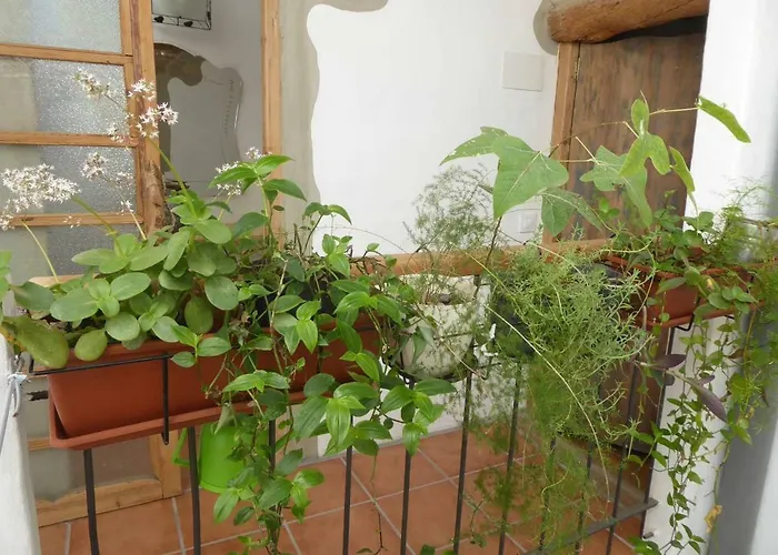 El Privado Casa de Cáliz Xàtiva Villa